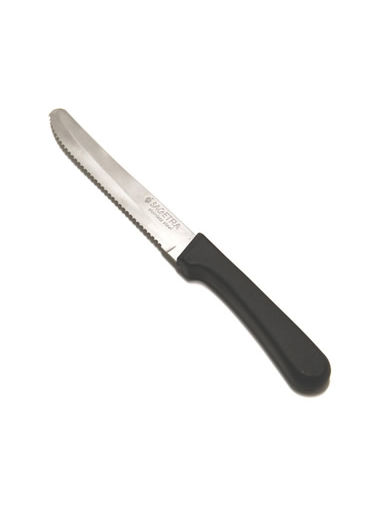 Steak Knife Plastic Handle - Stainless Steel 4 3/4
