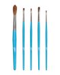 Brush Set 5 Pcs